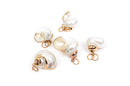 2 Natural Sea Shell Charms with gold plating and gold bail, white seashell, about 3/4" to 1" long cho0105