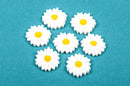 10 WHITE and YELLOW Daisy Resin Acrylic Flower Cabochons  23mm diameter cab0302