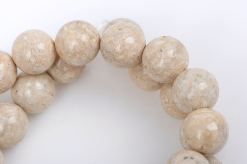 12mm Round WHITE FOSSIL STONE Beads, non-faceted, full strand, Natural Gemstones Gaf0003