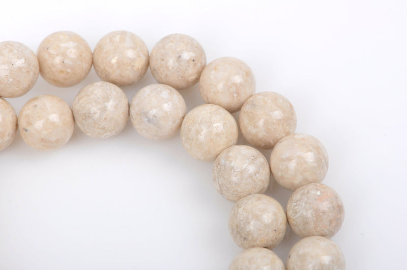 10mm Round WHITE FOSSIL STONE Beads, non-faceted, full strand, Natural Gemstones Gaf0004