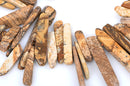PICTURE JASPER Gemstone Stick Beads, 7/8" to 2-1/4" gemstone, full strand, about 66-67 beads,  gja0088