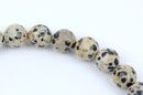 10mm DALMATIAN JASPER Beads, Round Gemstone Faceted Beads, Dalmation Jasper, Black and Tan Spotted gemstone beads, full strand, gja0097