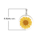 2 Acrylic Pendants, Natural REAL FLOWERS, Yellow Flower with leaves, circle disc shape, silver bail, 1-1/4" diameter cha0186
