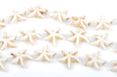 14mm WHITE STARFISH Beads, howlite beads, full strand, about 26 beads, how0475
