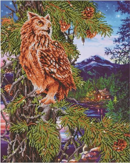 Diamond Painting Kit TWILIGHT WISDOM Owl Diamond Dotz 20x28" kit0178