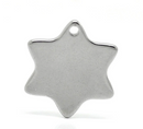 10 Stainless Steel Metal Stamping Blanks Charms, STAR of DAVID shape, 1 hole, 3/4" . 16 gauge . MSB0077