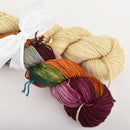 Hand Dyed Wool Yarn Pairing 75-25 Super Wash Merino Nylon, Ron and Hermione Forever, 100g total, Yrn0013